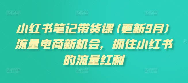 小红书笔记带货课(更新25年2月)流量电商新机会，抓住小红书的流量红利-闲赋网