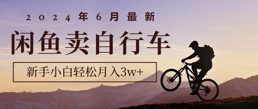 2024年6月最新闲鱼卖自行车，新手小白轻松月入3w+项目-闲赋网