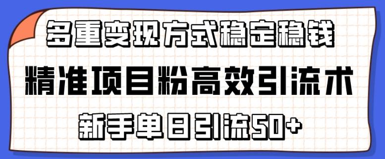 精准项目粉高效引流术，新手单日引流50+，多重变现方式稳定赚钱【揭秘】-闲赋网
