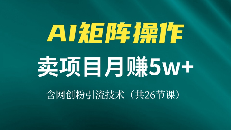 网创IP打造课，借助AI卖项目月赚5万+，含引流技术(共26节课-闲赋网