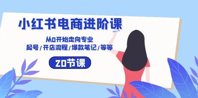 小红书电商进阶课：从0开始走向专业 起号/开店流程/爆款笔记/等等(20节-闲赋网
