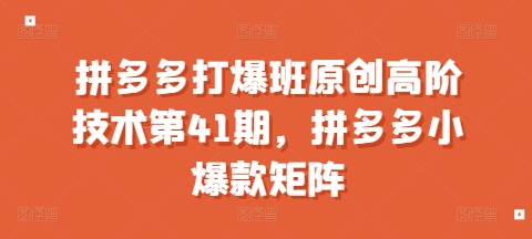 拼多多打爆班原创高阶技术第41期，拼多多小爆款矩阵-闲赋网