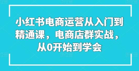 小红书电商运营从入门到精通课，电商店群实战，从0开始到学会-闲赋网