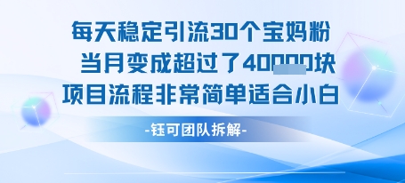 每天稳定引流30个人 当月变成超过了4个W项目流程非常简单适合小白-闲赋网