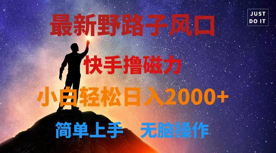 最新风口！快手撸磁力，野路子，小白无脑操作日入2000+-闲赋网