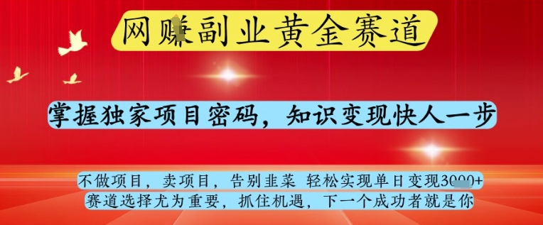 网创副业黄全赛道，掌握独家项目密码，知识变现快人一步，告别韭菜轻松实现单日变现1k+【揭秘】-闲赋网