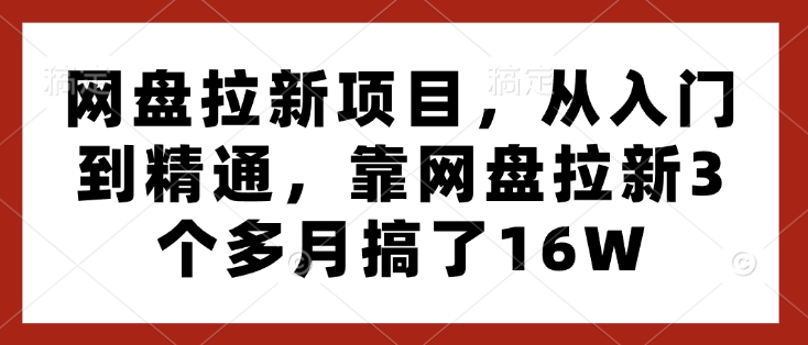 网盘拉新项目，从入门到精通，靠网盘拉新3个多月搞了16W-闲赋网