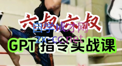 六叔的AI指令实战课(更新7月)-闲赋网