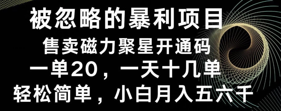 被忽略的暴利项目！售卖磁力聚星开通码，一单20，一天十几单，轻松月入五六千-闲赋网