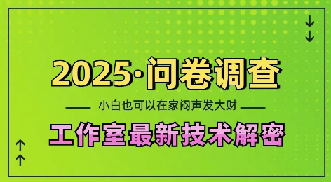 2025问卷调查最新工作室技术解密：一个人在家也可以闷声发大财，小白一天2张，可矩阵放大【揭秘】-闲赋网