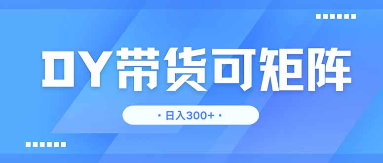 DY带货，日入300＋矩阵无上限-闲赋网