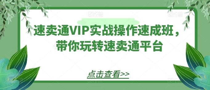 速卖通VIP实战操作速成班，带你玩转速卖通平台-闲赋网