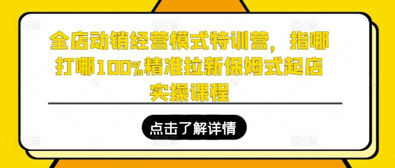 全店动销经营模式特训营，指哪打哪100%精准拉新保姆式起店实操课程-闲赋网