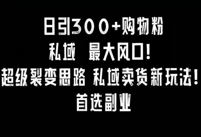 日引300+购物粉，超级裂变思路，私域卖货新玩法，小红书首选副业【揭秘】-闲赋网