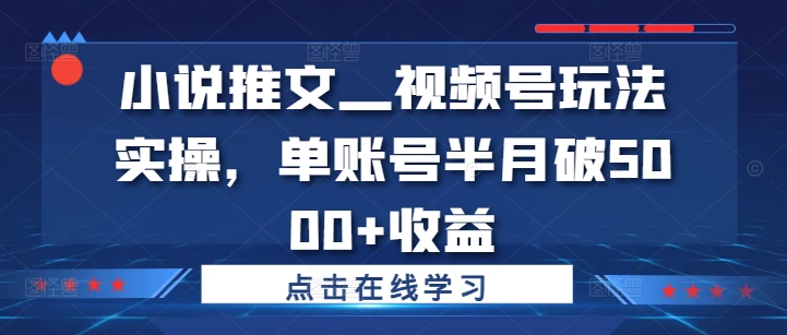 小说推文—视频号玩法实操，单账号半月破5000+收益-闲赋网