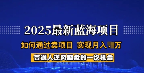 2025蓝海项目，普通人如何通过卖项目，实现月入过W，全过程【揭秘】-闲赋网