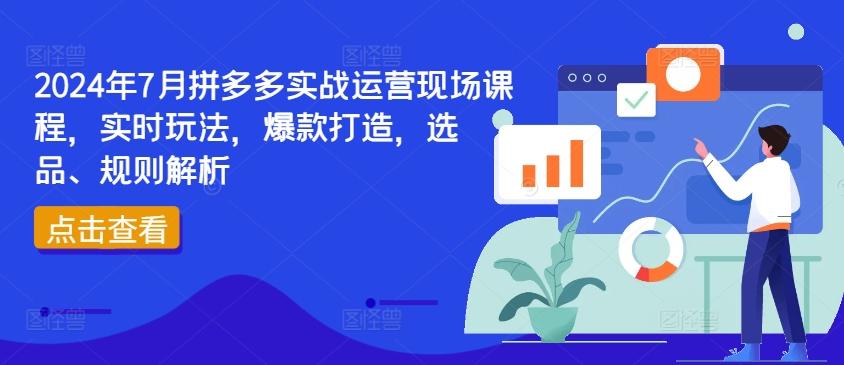 2024年7月拼多多实战运营现场课程，实时玩法，爆款打造，选品、规则解析-闲赋网