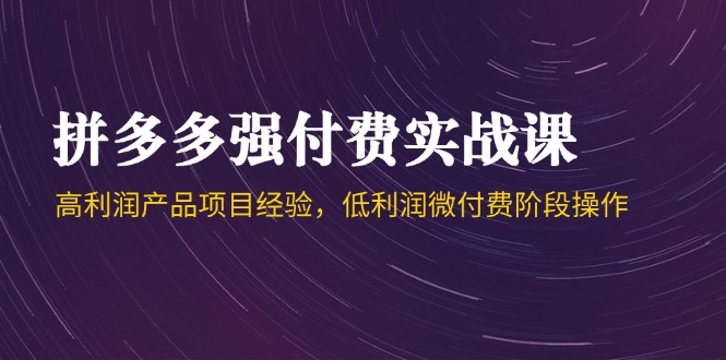拼多多强付费实战课-44期，高利润产品项目经验，低利润微付费阶段操作-闲赋网