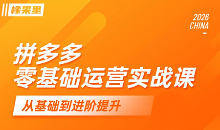 仙道电商·拼多多零基础运营实战课-闲赋网