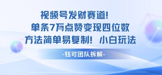 视频号发财赛道单条7W点赞变现四位数方法简单易复制小白玩法-闲赋网