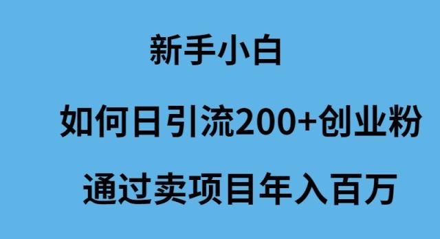 (9668期)新手小白如何日引流200+创业粉通过卖项目年入百万-闲赋网