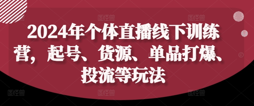 2024年个体直播训练营，起号、货源、单品打爆、投流等玩法-闲赋网