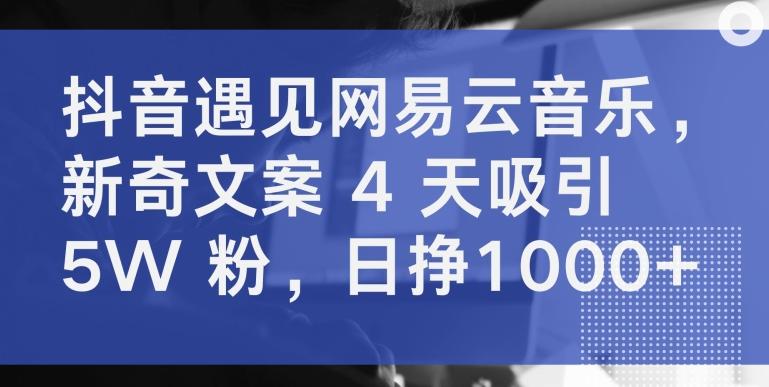 抖音遇见网易云音乐，新奇文案 4 天吸引 5W 粉，日挣1000+【揭秘】-闲赋网