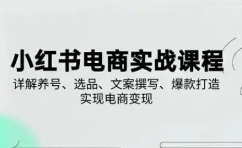 小红书从0-1实操课(2023-2025)，详解养号、选品、文案撰写、爆款打造实现电商变现-闲赋网