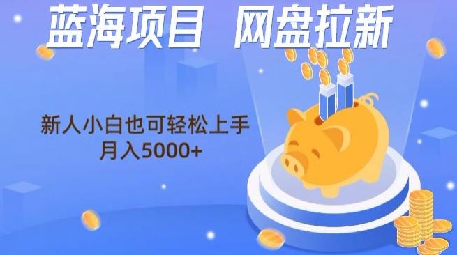 蓝海项目网盘拉新，新人小白也可操作，每月收入5000+-闲赋网