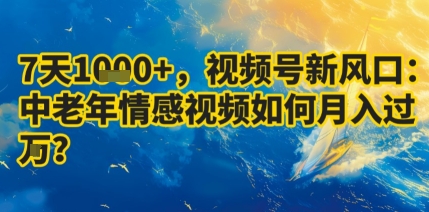 7天收益1k+，视频号新风口：中老年情感视频如何月入过W?-闲赋网