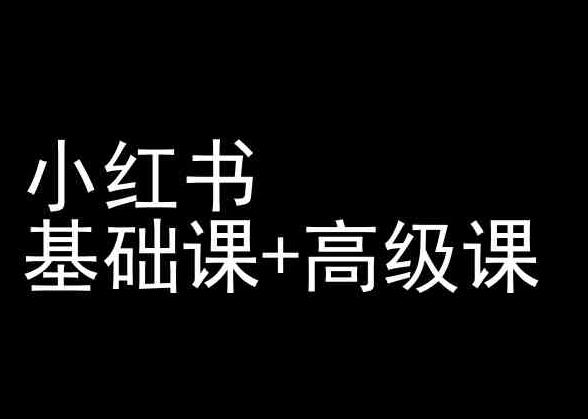 小红书基础课+高级课-小红书运营教程-闲赋网