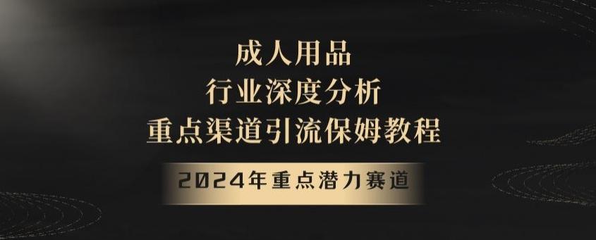 2024年重点潜力赛道，成人用品行业深度分析，重点渠道引流保姆教程【揭秘】-闲赋网