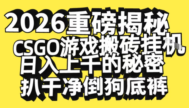 2026开年重磅解密，CSGO游戏搬砖挂G日入1k+的秘密，把倒狗的底裤扒干【揭秘】-闲赋网