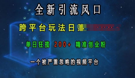 全新引流风口，跨平台玩法日入上k，单日狂揽200+精准创业粉，一个被严重忽略的视频平台-闲赋网