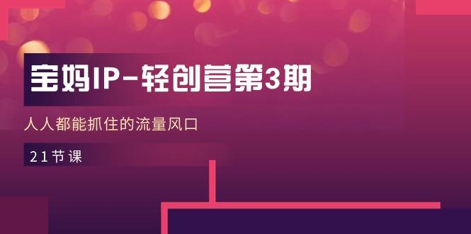 宝妈IP-轻创营第3期，人人都能抓住的流量风口(21节课-闲赋网