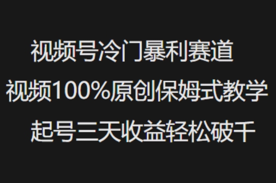 视频号冷门暴利赛道视频100%原创保姆式教学起号三天收益轻松破千-闲赋网
