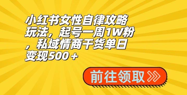 小红书女性自律攻略玩法，起号一周1W粉，私域情商干货单日变现500＋-闲赋网