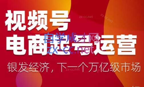 陈大黑牛·视频号电商起号运营课(更新到24年5月)-闲赋网