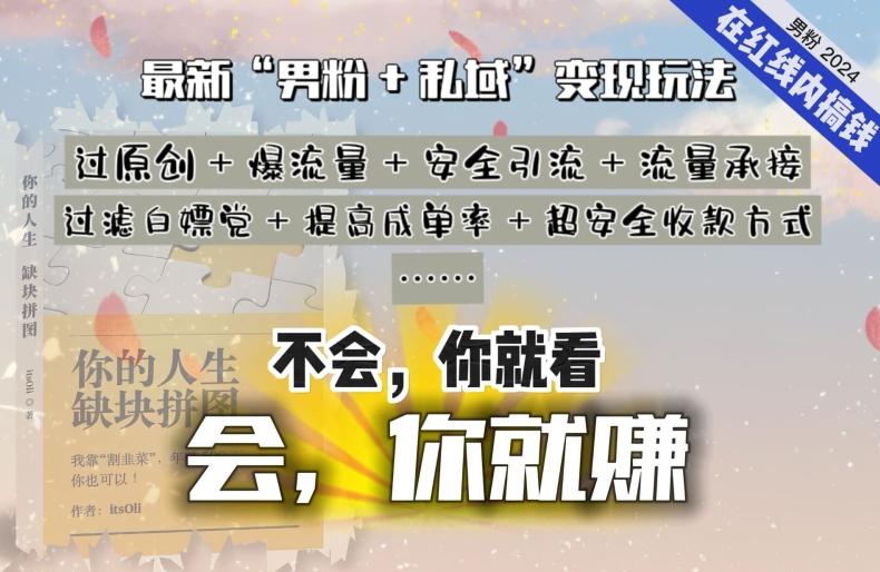 2024，“男粉+私域”还是最耐造、最赚、最轻松、最愉快的变现方式【揭秘】-闲赋网