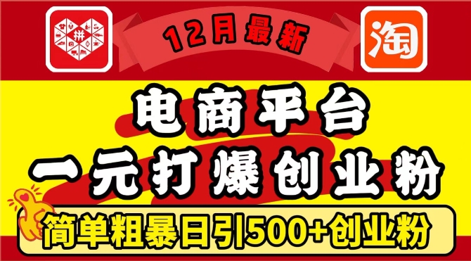 12月最新：电商平台1元打爆创业粉，简单粗暴日引500+精准创业粉，轻松月入过W【揭秘】-闲赋网