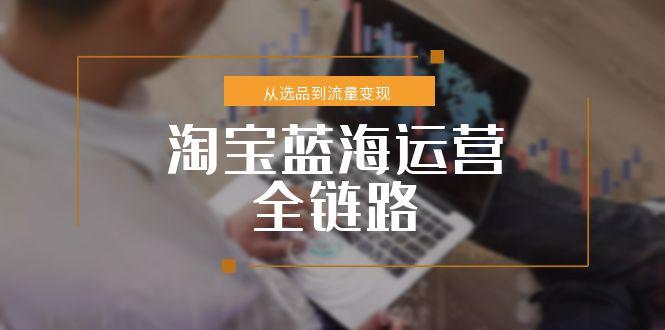 淘宝蓝海运营全链路，从选品到流量变现，小类目突围完整方案-闲赋网