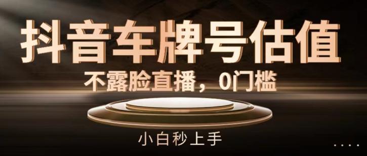 抖音车牌号估值，不露脸直播，0门槛，小白秒上手【揭秘】-闲赋网
