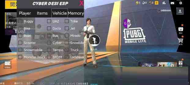 PUBG轻量老外裸奔绘制+自瞄 支持ROOT和框架 里面有全局离线-闲赋网