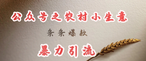deepseek写农村小项目，条条爆款，暴力引流-闲赋网