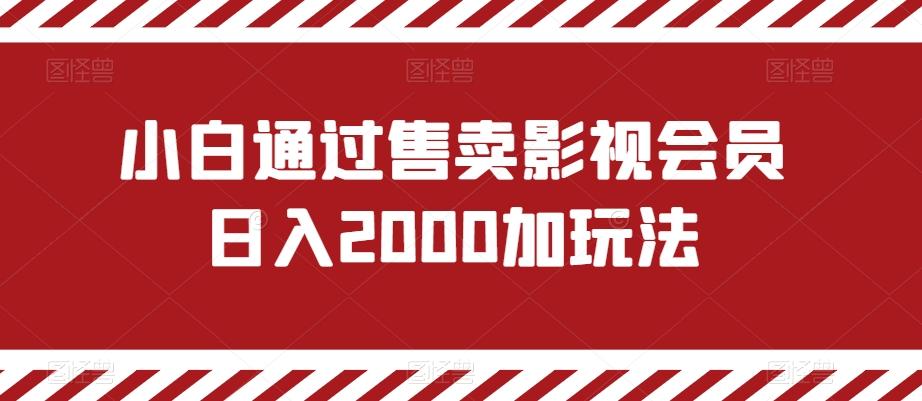 小白通过售卖影视会员日入2000加玩法-闲赋网