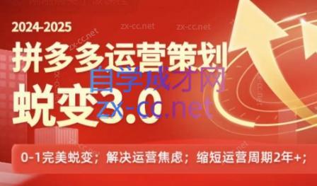 大力老师·2024拼多多运营策略蜕变3.0-闲赋网