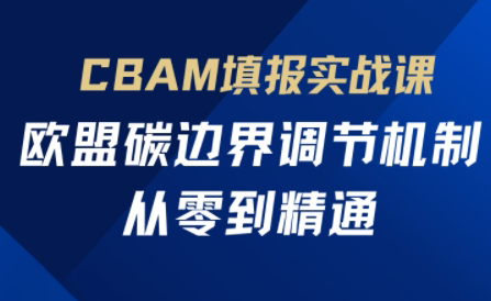 欧盟CBAM填报实战从零到精通-闲赋网
