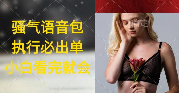(9589期)执行就出单，日入2000+，超火骚气语音包，小白看完课程就能马上实操-闲赋网