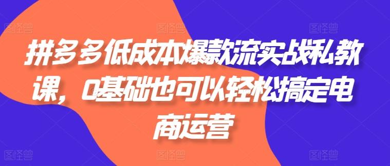 拼多多低成本爆款流实战私教课，0基础也可以轻松搞定电商运营-闲赋网