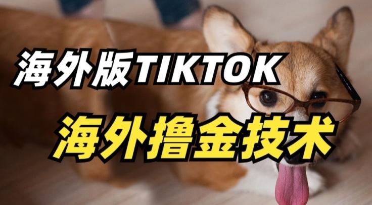 抖音海外版tiktok撸金技术，这个风口行业，赚钱真的不难【揭秘】-闲赋网